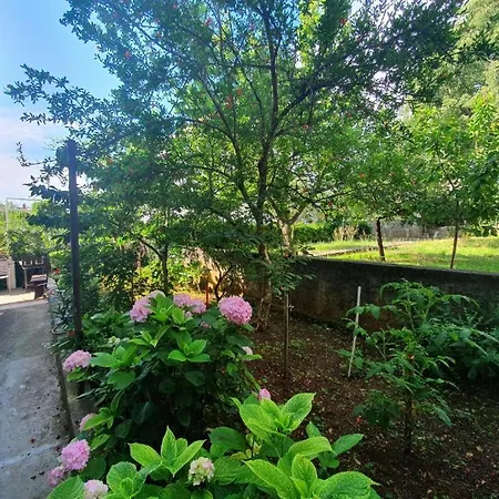 Apartment Peaceful 30 Meters From Sea!